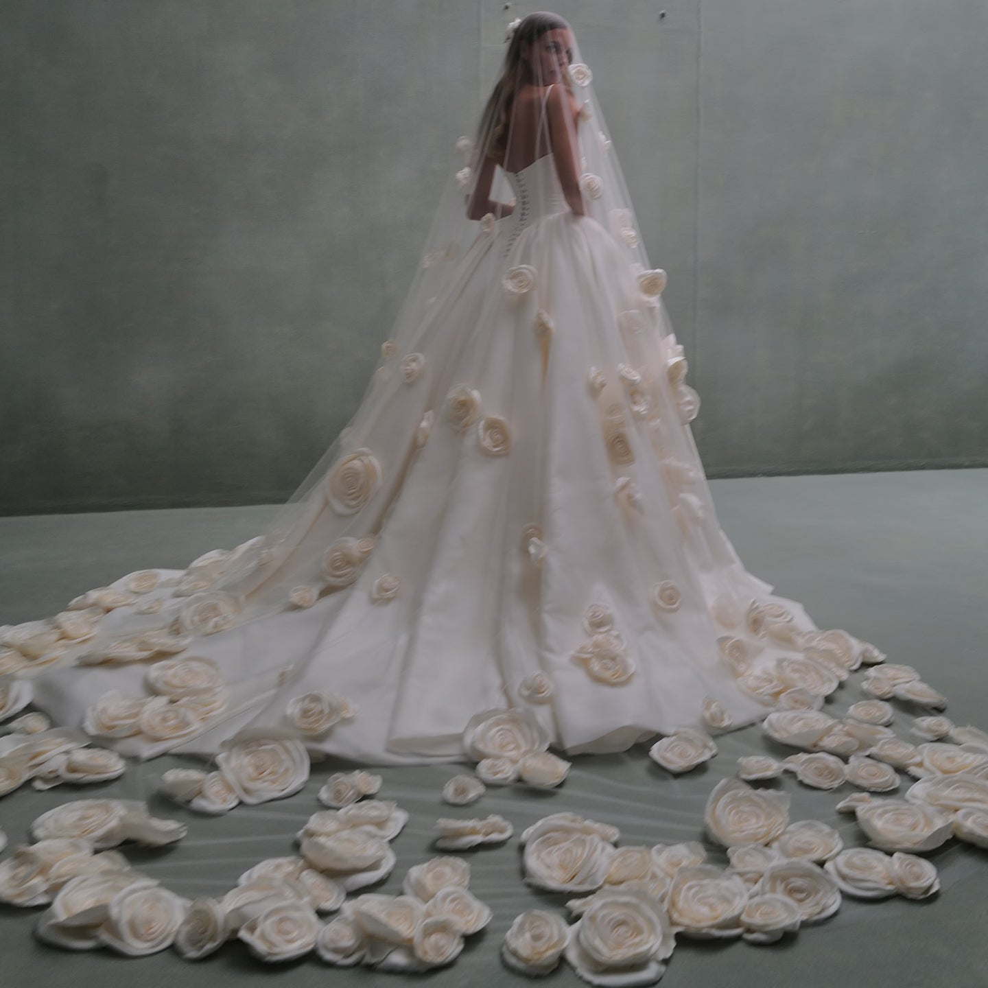 Luxury 3D Floral Appliqué Ball Gown Wedding Dress SW079