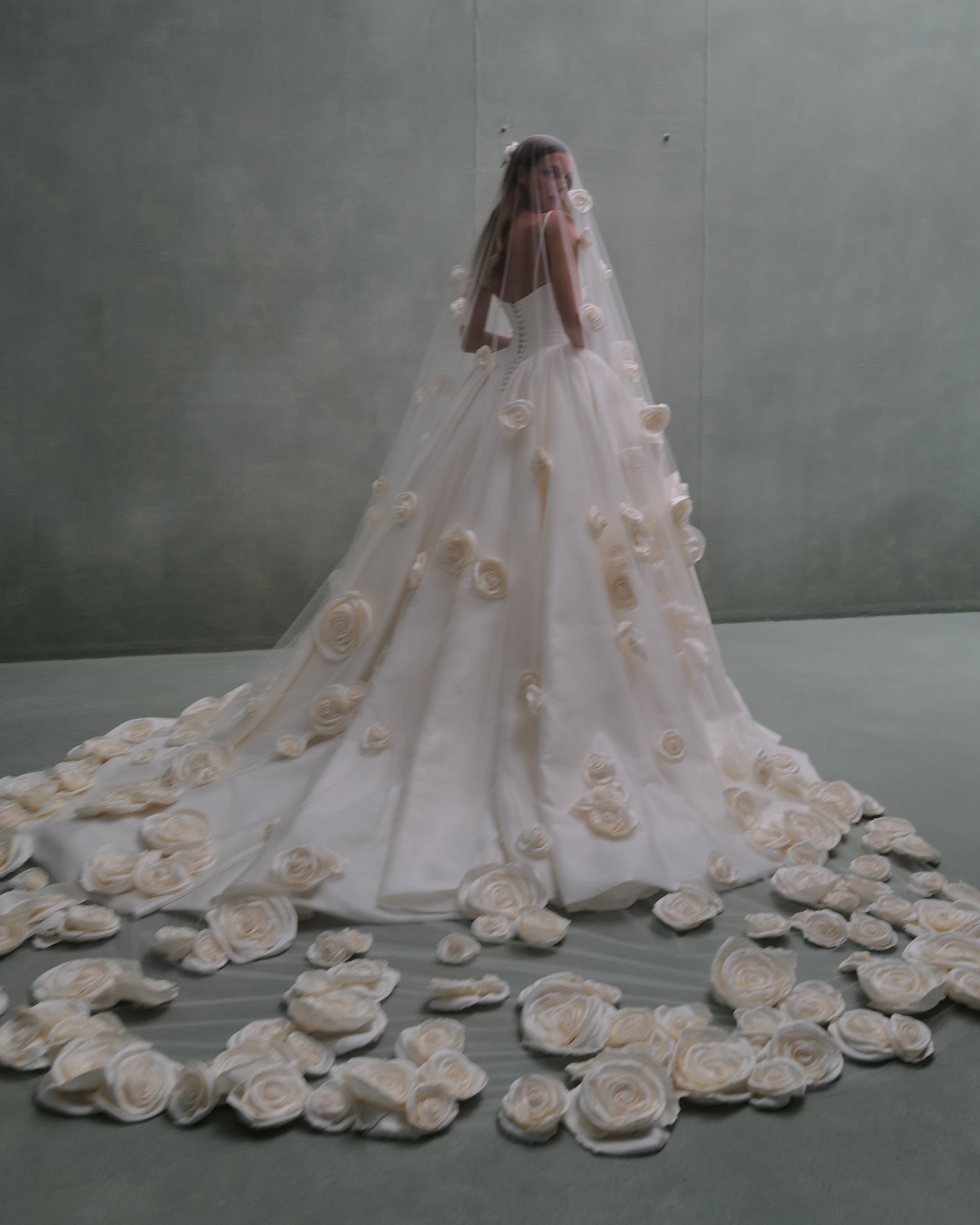 Luxury 3D Floral Appliqué Ball Gown Wedding Dress SW079