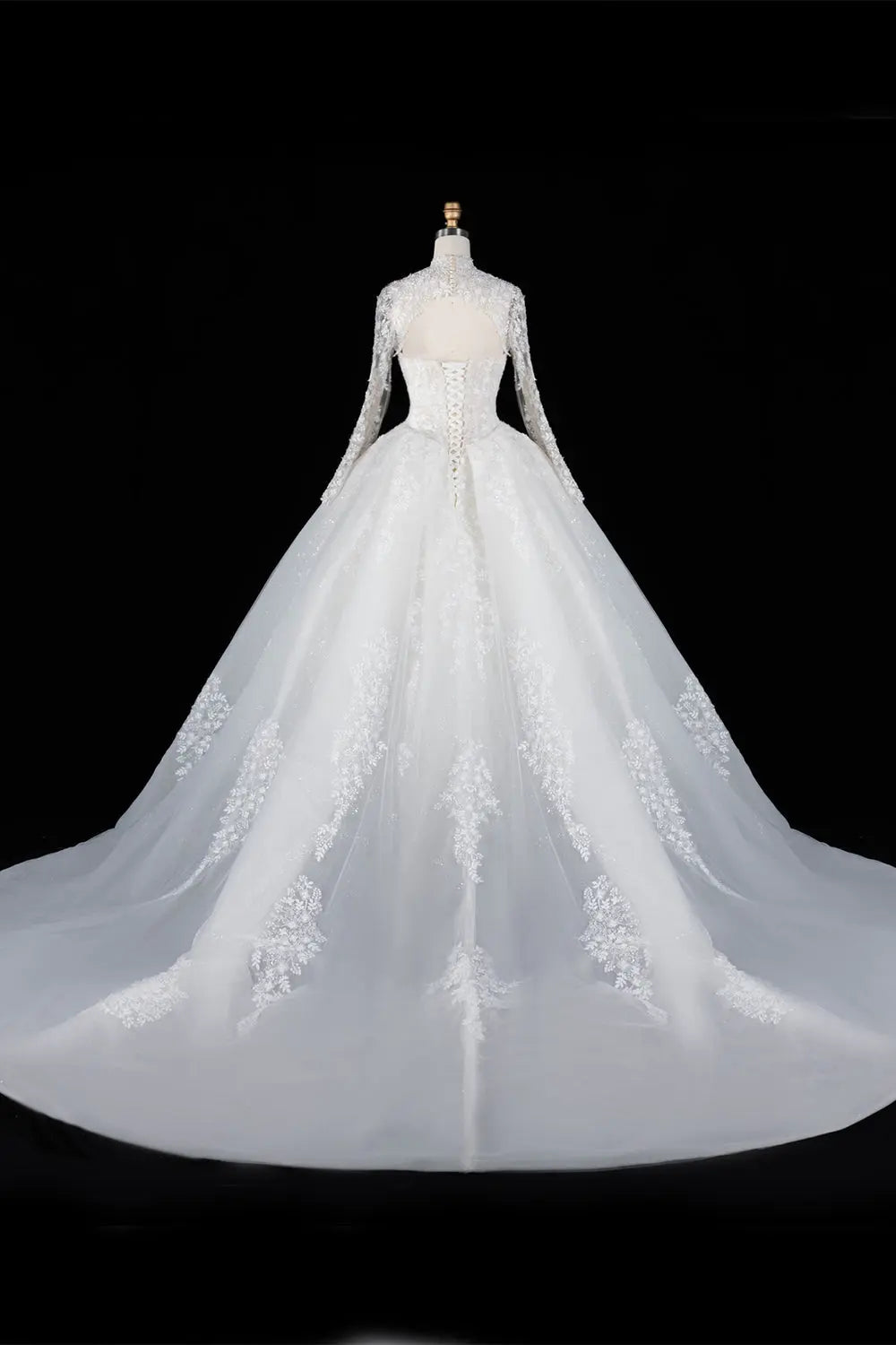 Off White Long Sleeve Lace Ball Gown Wedding Dress SW695 Sheer Fairy