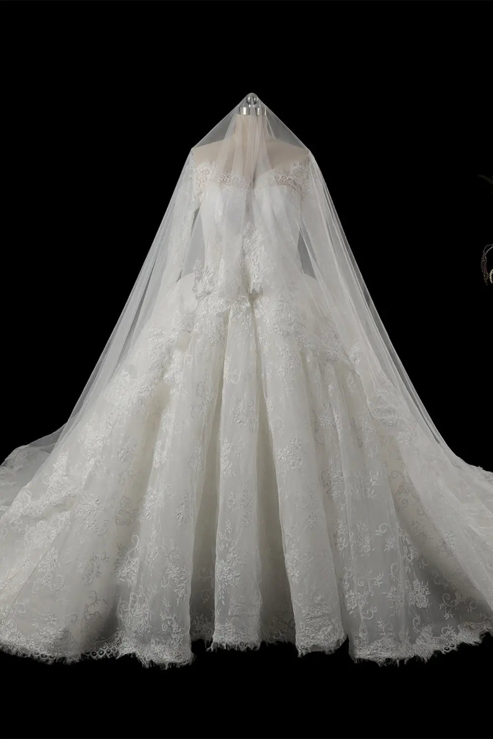White Long Sleeve Lace Ball Gown Wedding Dress SW754 Sheer Fairy