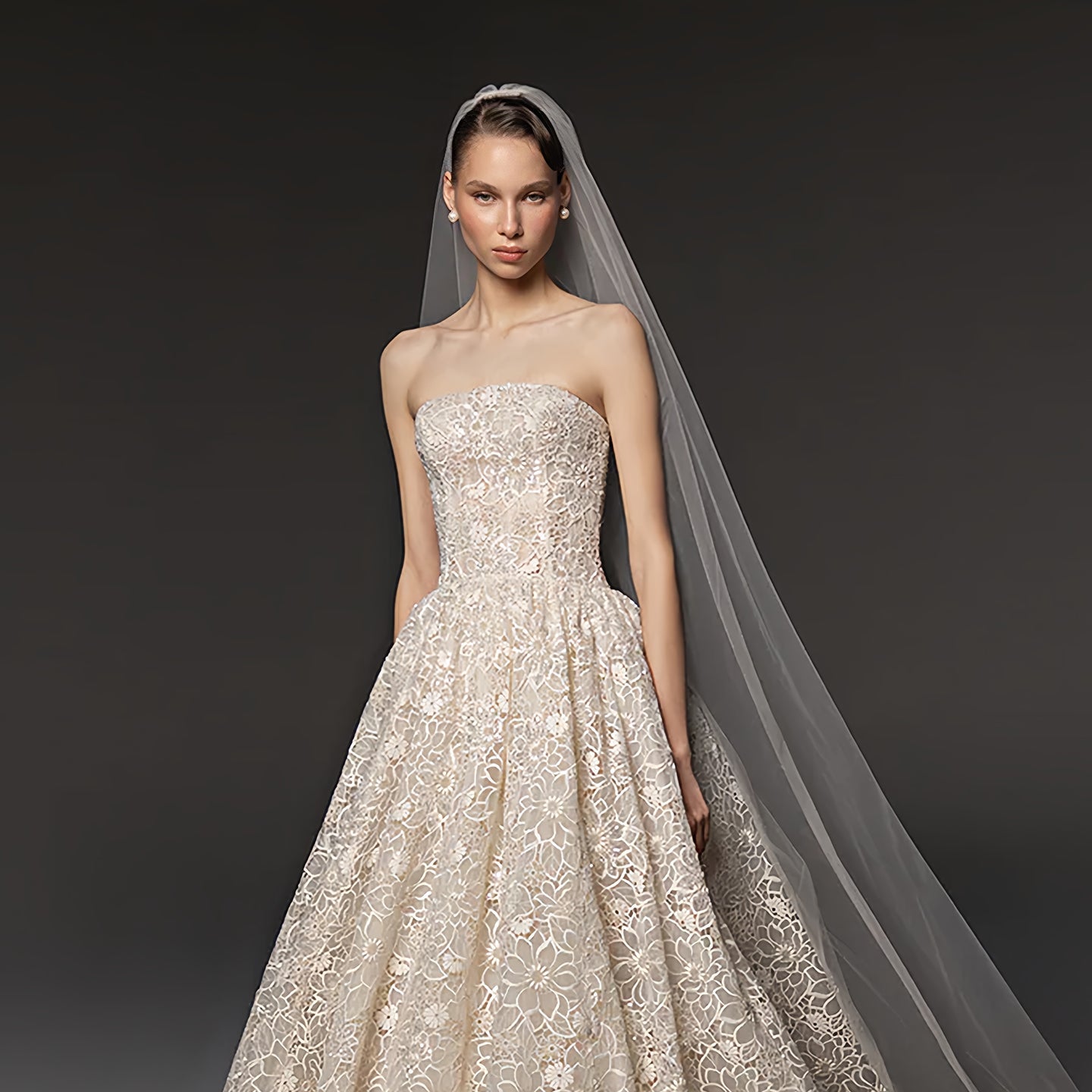 Strapless Floral Lace Ball Gown Champagne Wedding Dress with Veil SW667 Sheer Fairy