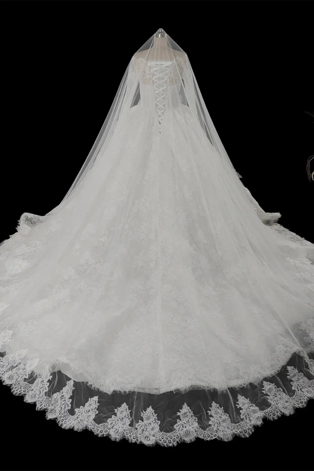 White Long Sleeve Lace Ball Gown Wedding Dress SW754 Sheer Fairy