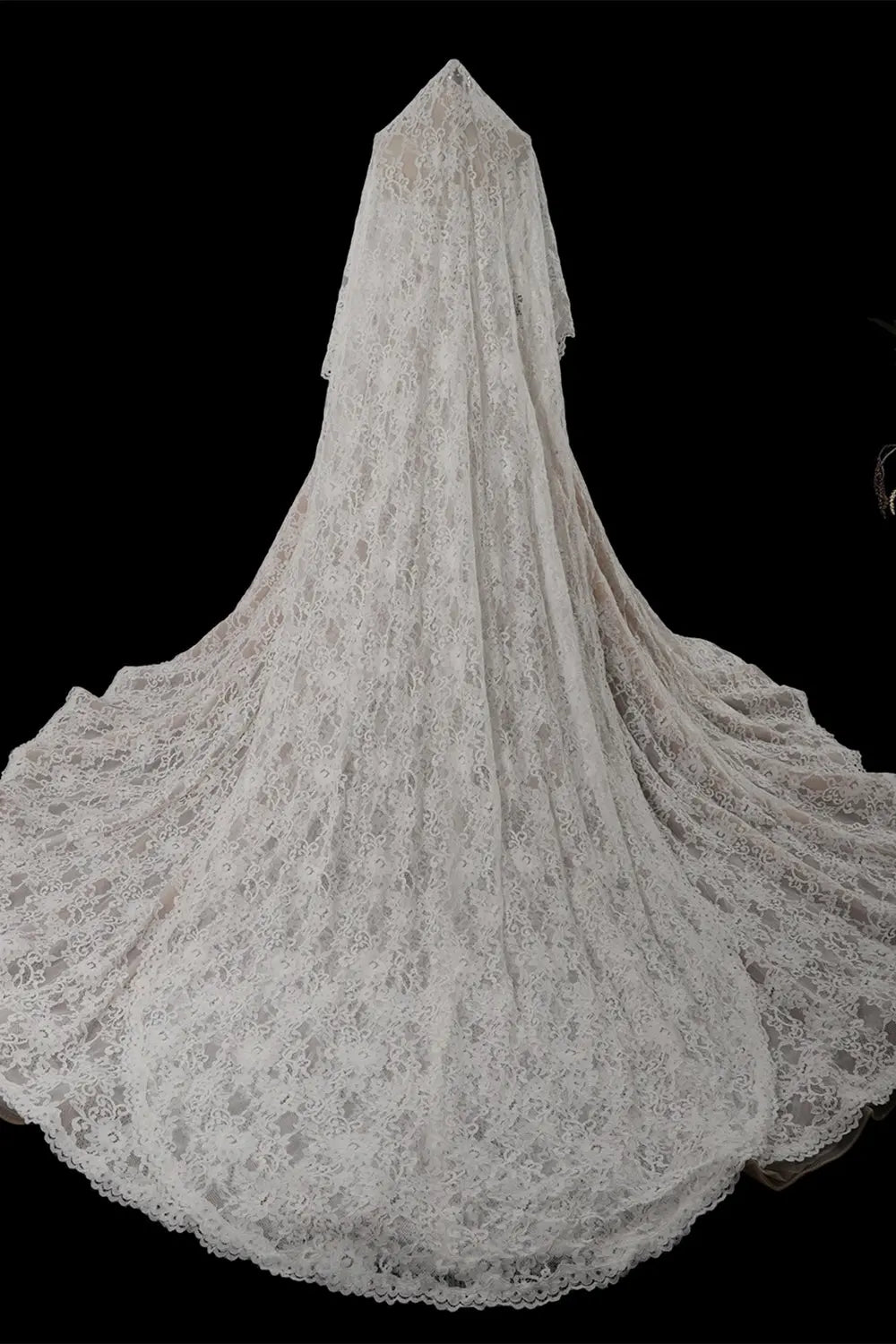 SW755 Sheer Fairy