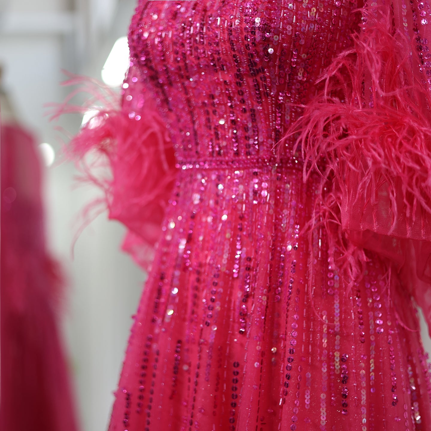 Half Sleeve Feather Sparkly Sequin Formal Evening Gown for Women SS339 Sheer Fairy