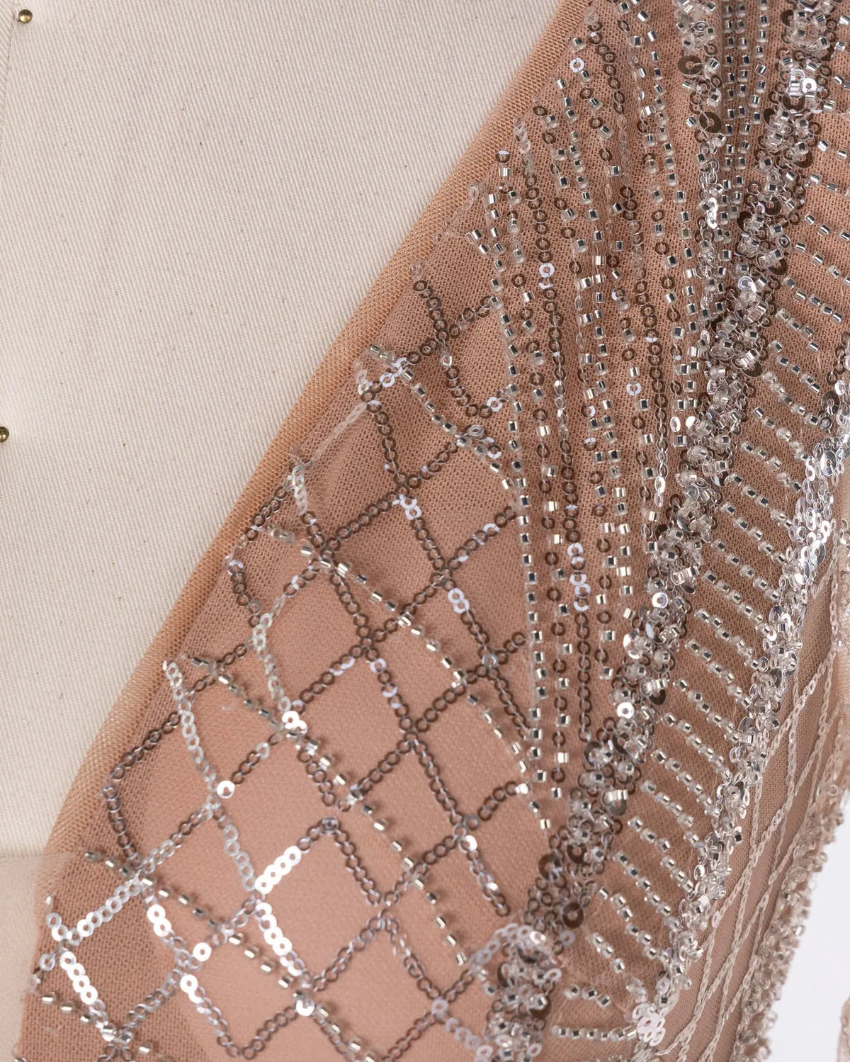 Champagne Tulle Long Sleeve Evening Gown Sheer Fairy