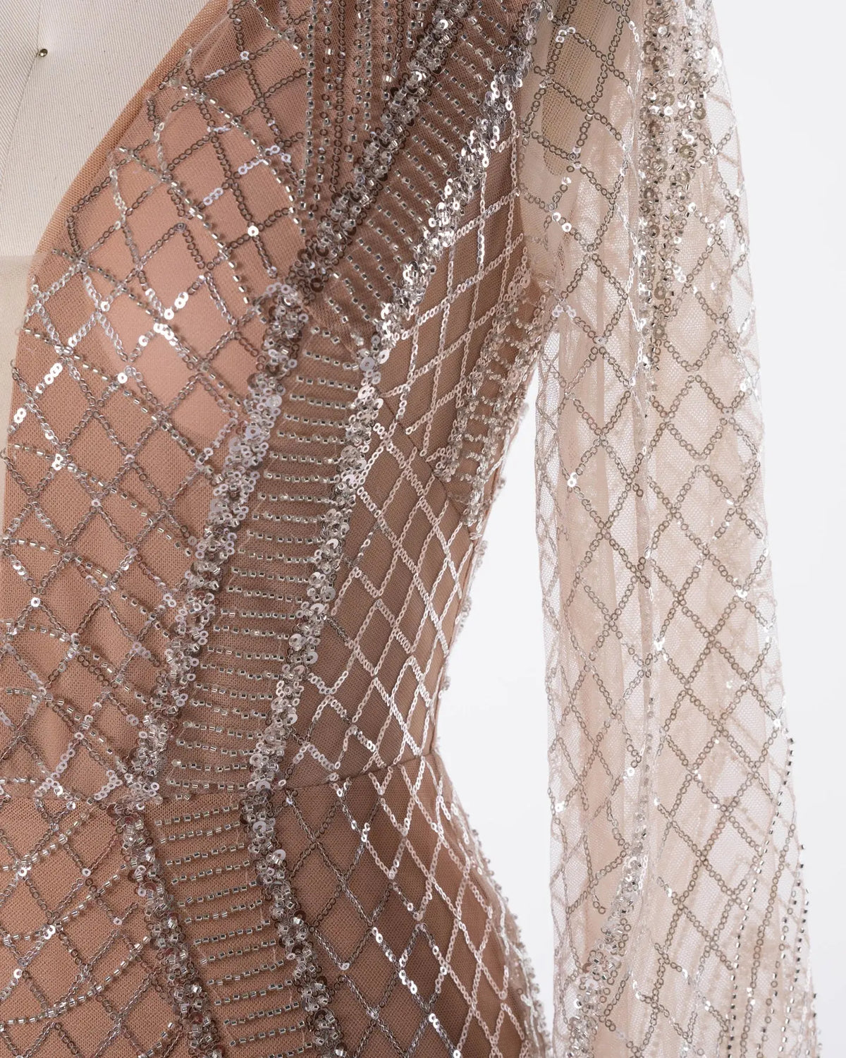 Champagne Tulle Long Sleeve Evening Gown Sheer Fairy