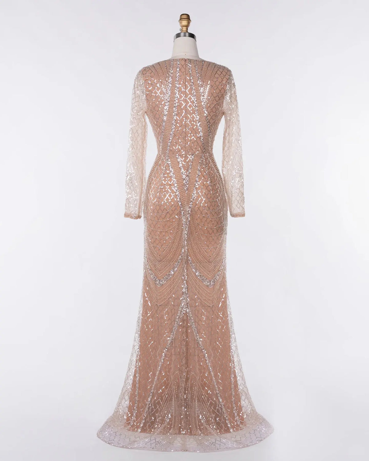 Champagne Tulle Long Sleeve Evening Gown Sheer Fairy