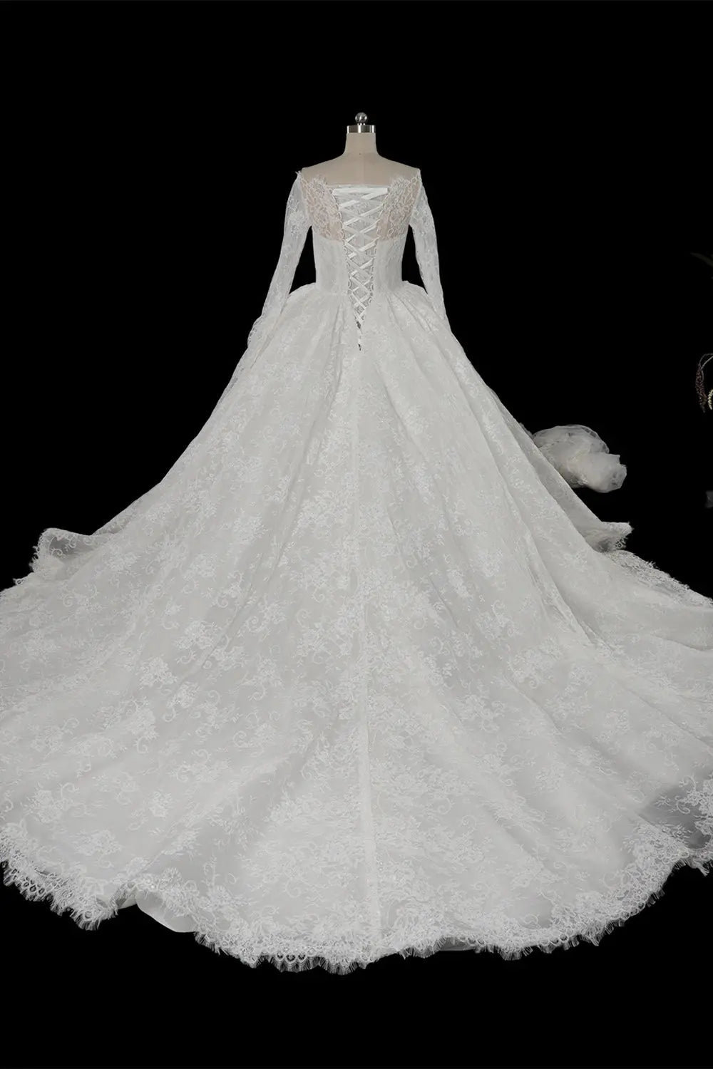 White Long Sleeve Lace Ball Gown Wedding Dress SW754 Sheer Fairy