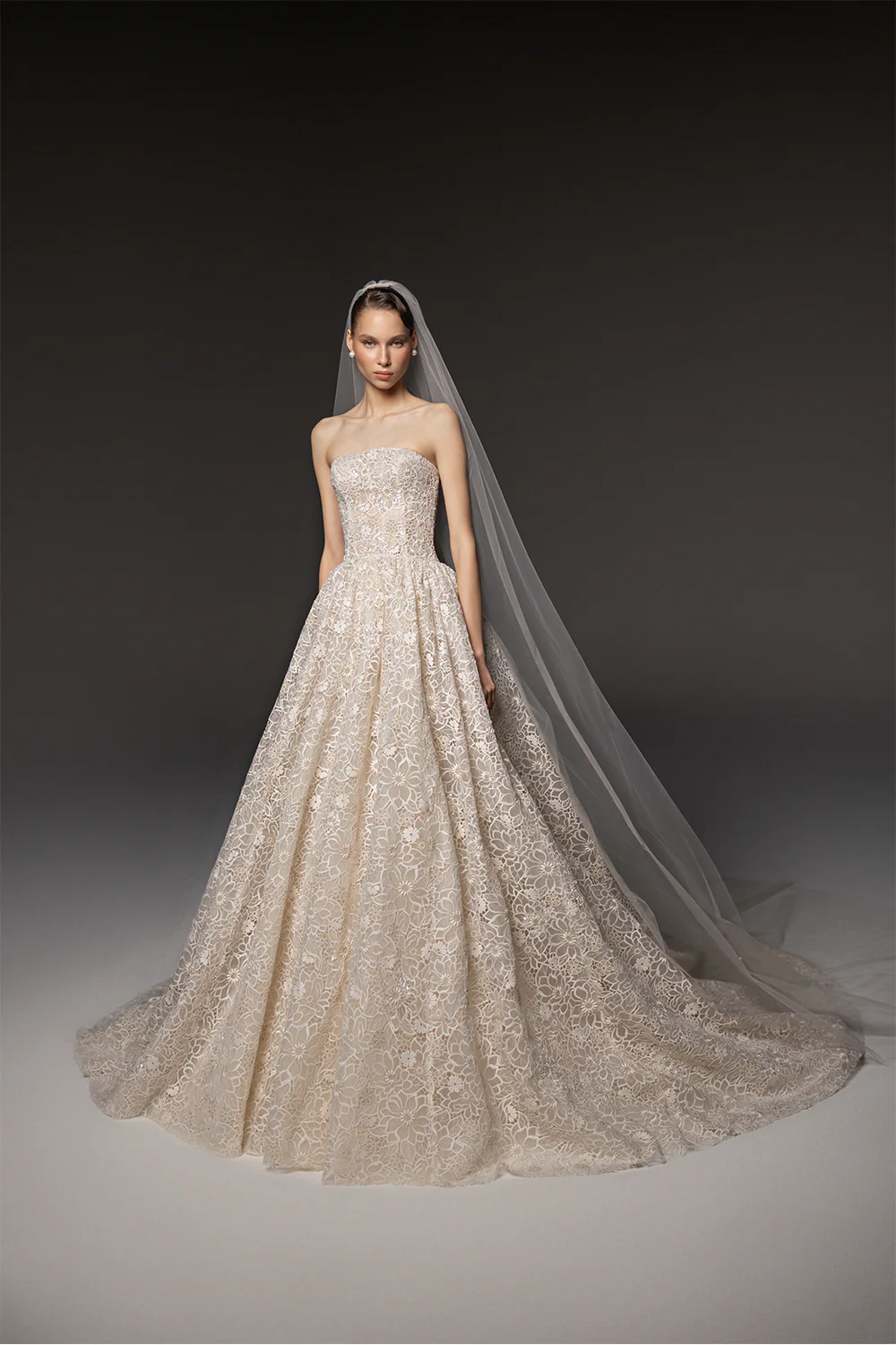 Strapless Floral Lace Ball Gown Champagne Wedding Dress with Veil SW667 Sheer Fairy