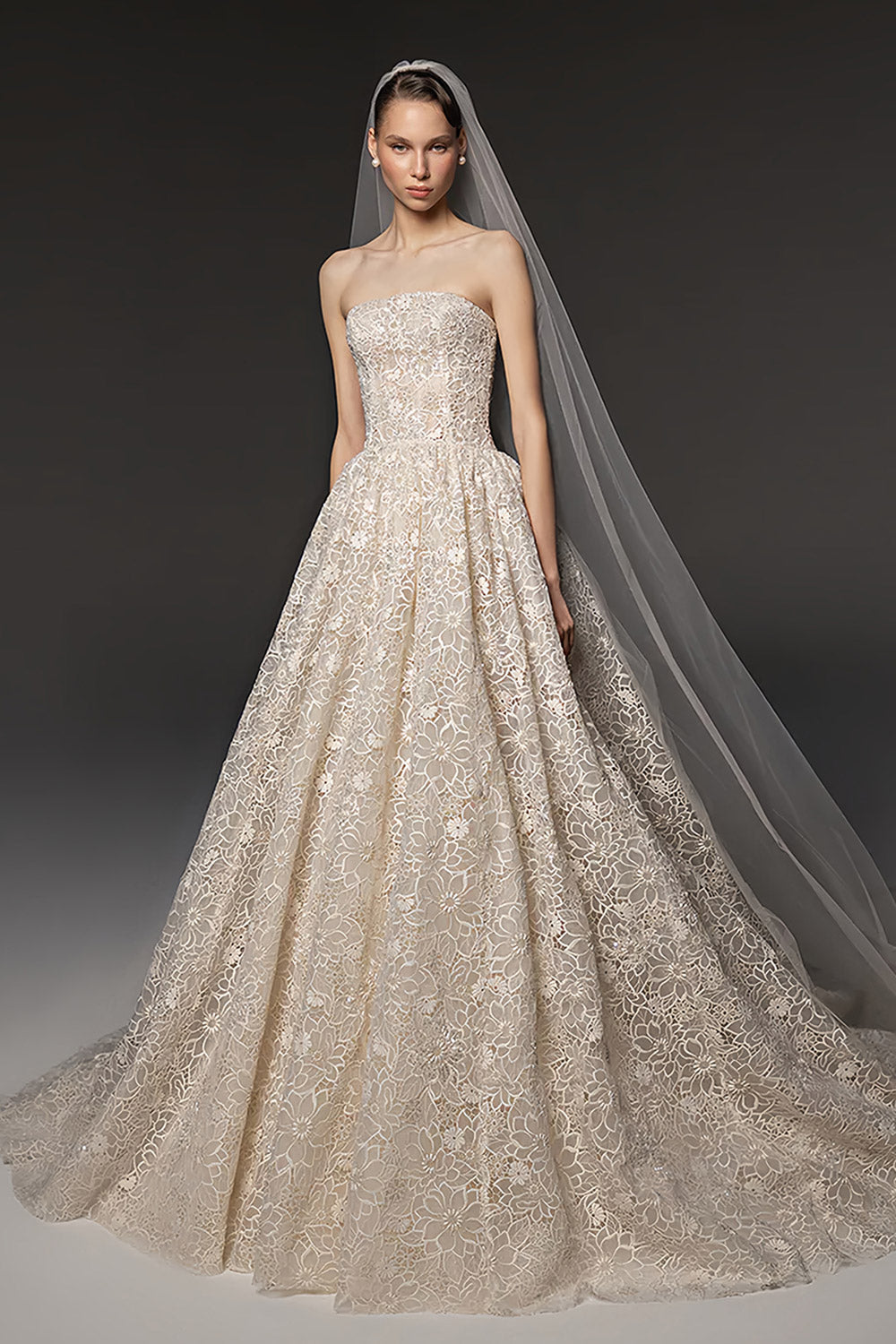 Strapless Floral Lace Ball Gown Champagne Wedding Dress with Veil SW667 Sheer Fairy