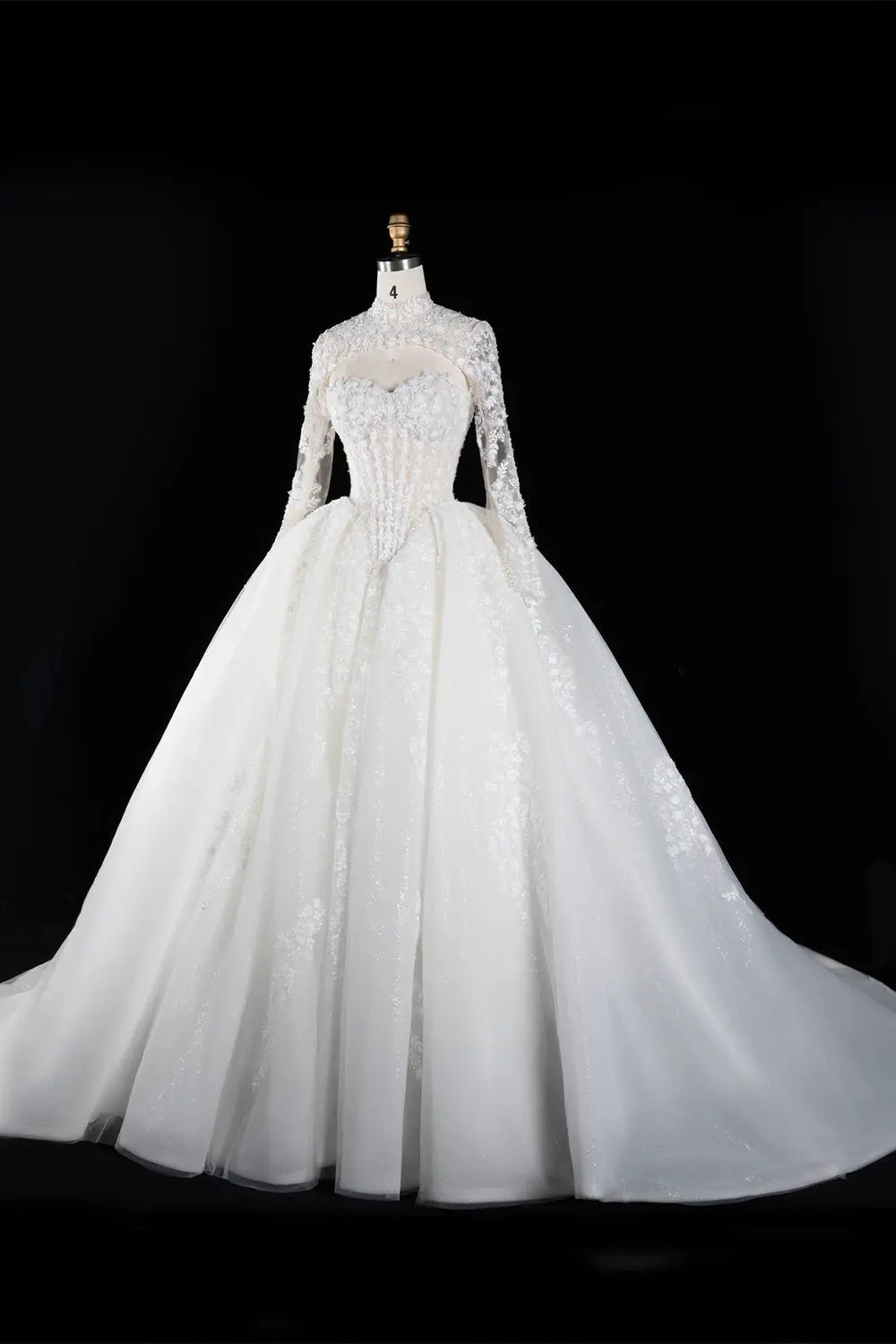 Off White Long Sleeve Lace Ball Gown Wedding Dress SW695 Sheer Fairy