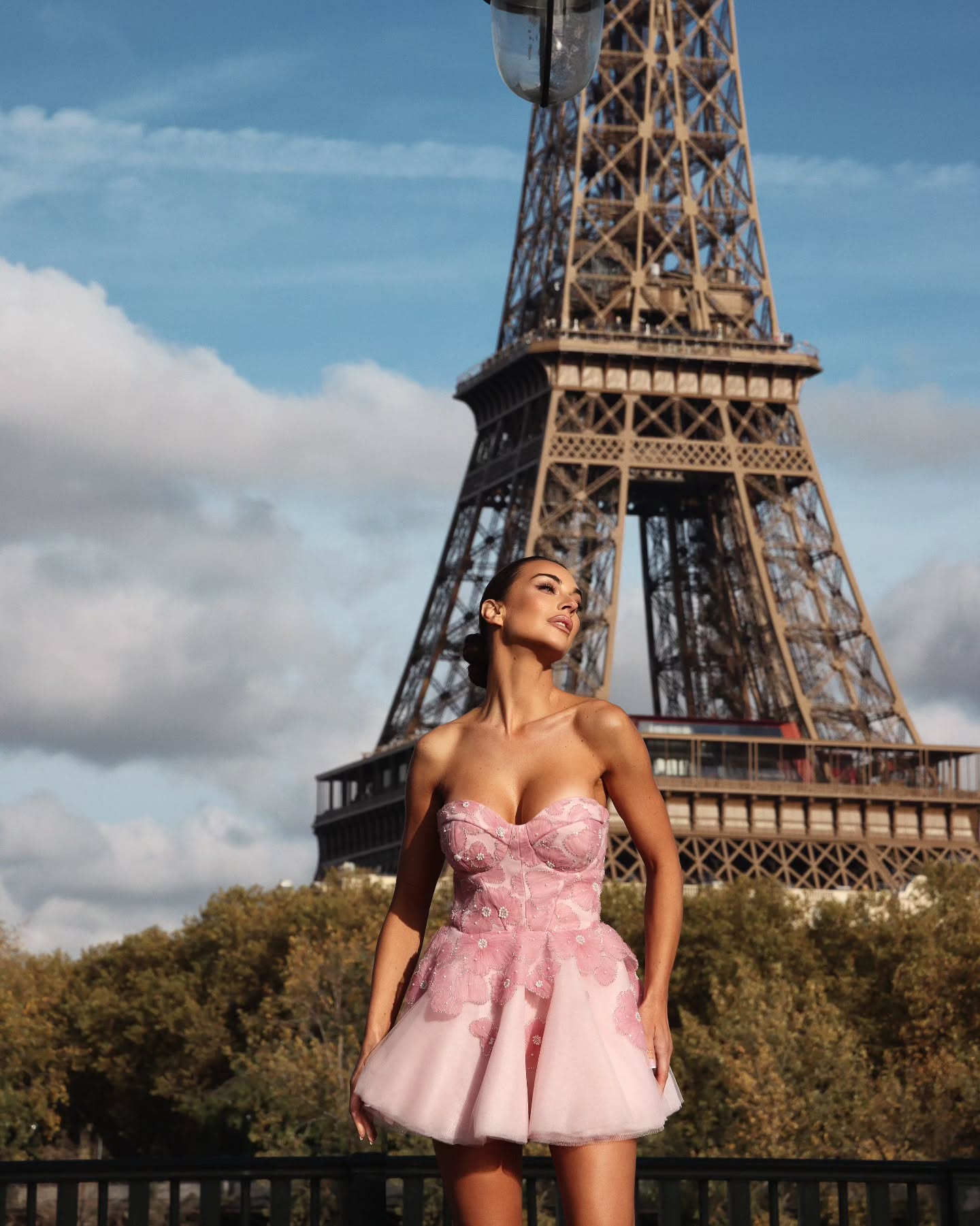 Romantic Pink Boned Corset Bust Mini A-Line Homecoming Dress RM230 Sheer Fairy