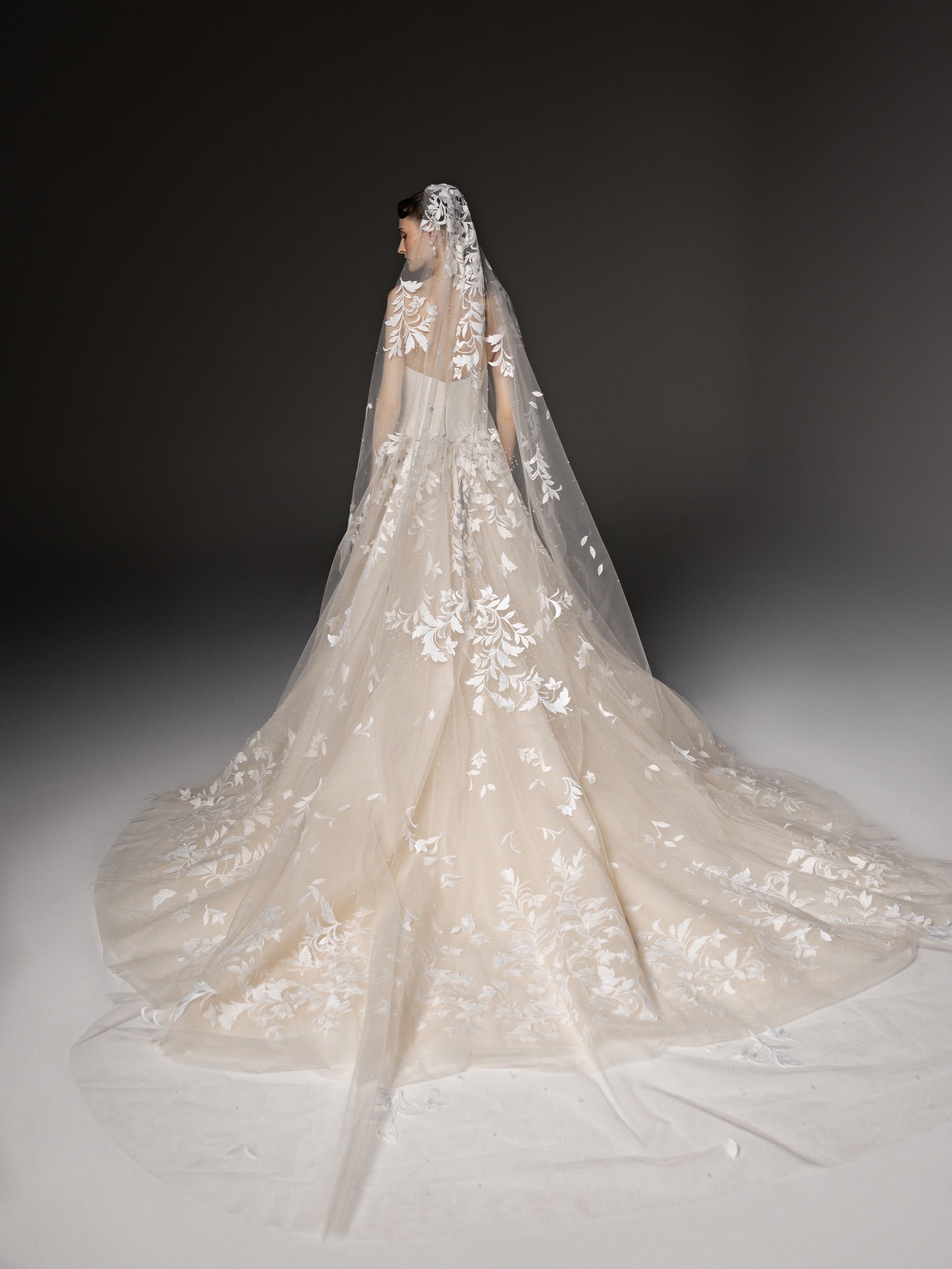 Romantic Floral Leaf Lace A-Line Champagne Wedding Dress with Cathedral Train & Veil SW665 Sheer Fairy