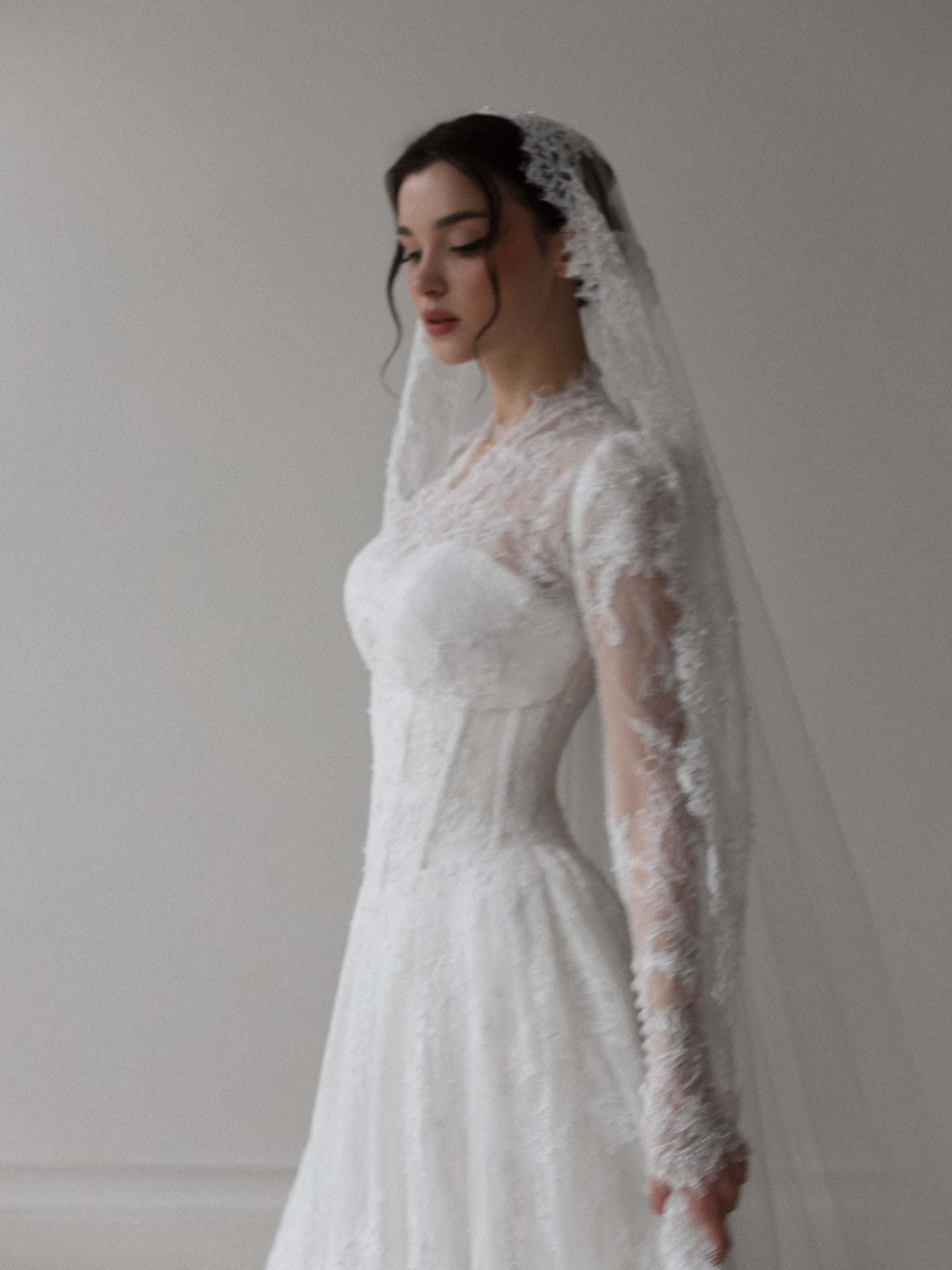 Vintage Long Sleeve Lace Wedding Dress with Veil SW273 Sheer Fairy