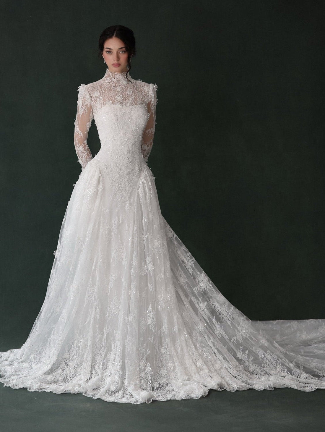 High Neck Long Sleeve Lace Sheer Wedding Dress with Veil  SW275 Sheer Fairy