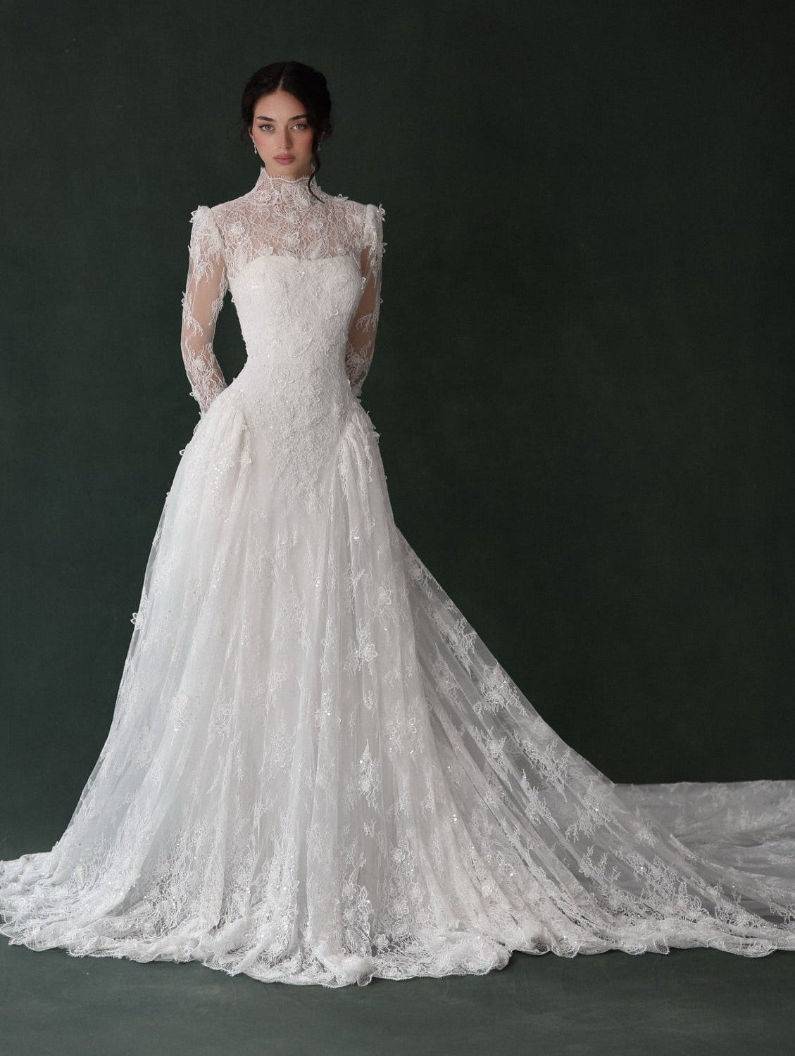 High Neck Long Sleeve Lace Sheer Wedding Dress with Veil  SW275 Sheer Fairy