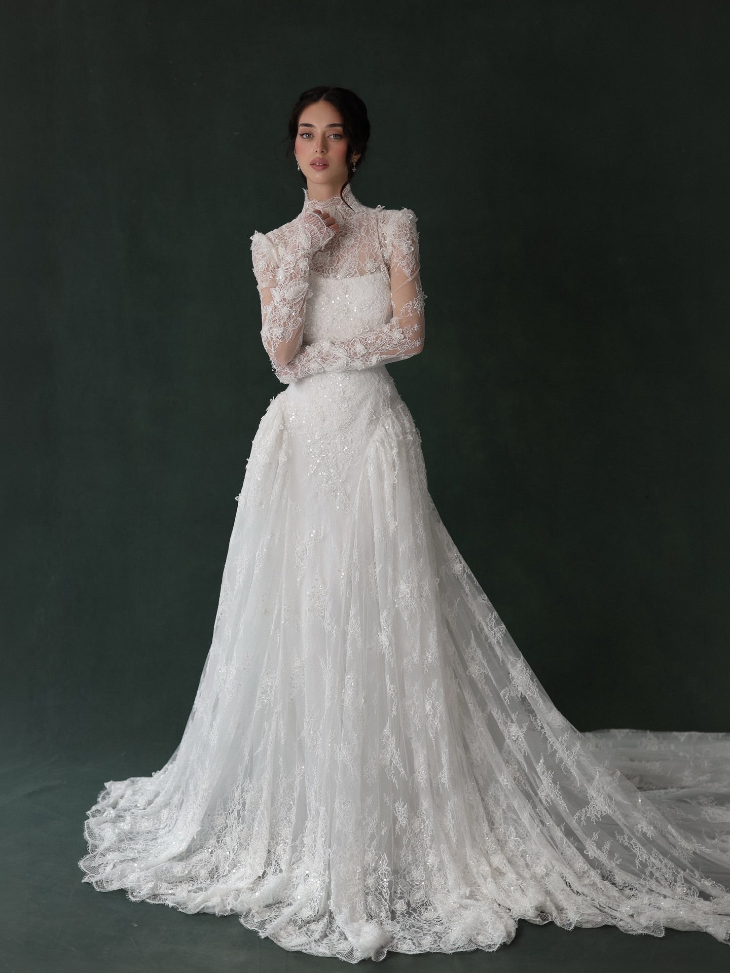 High Neck Long Sleeve Lace Sheer Wedding Dress with Veil  SW275 Sheer Fairy