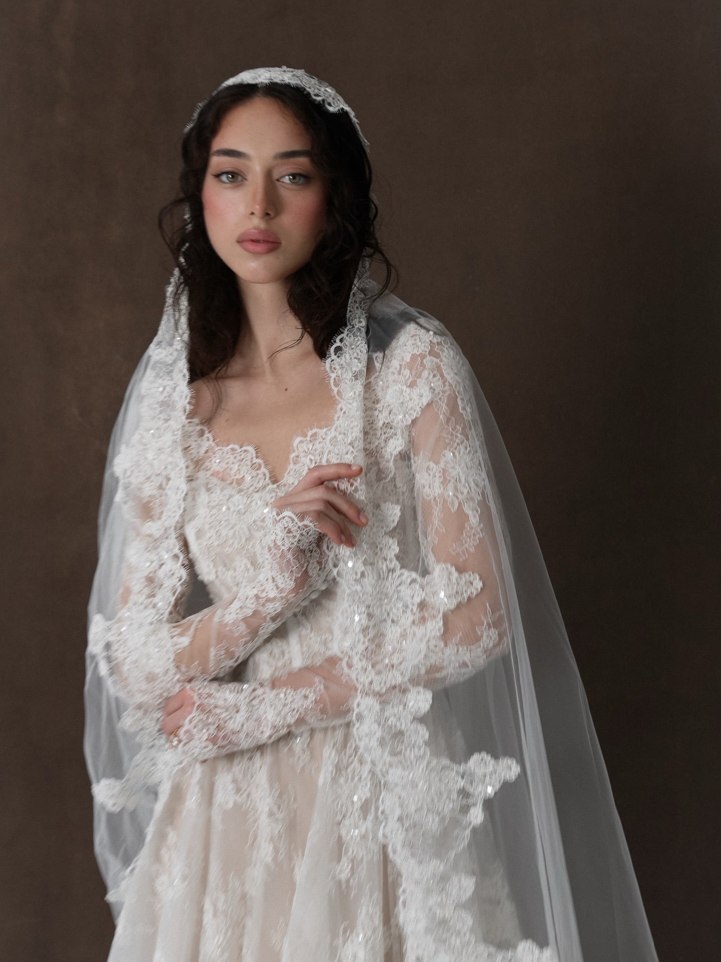 Long Sleeve V Neck Elegant Lace Wedding Dress with Veil  SW276 Sheer Fairy