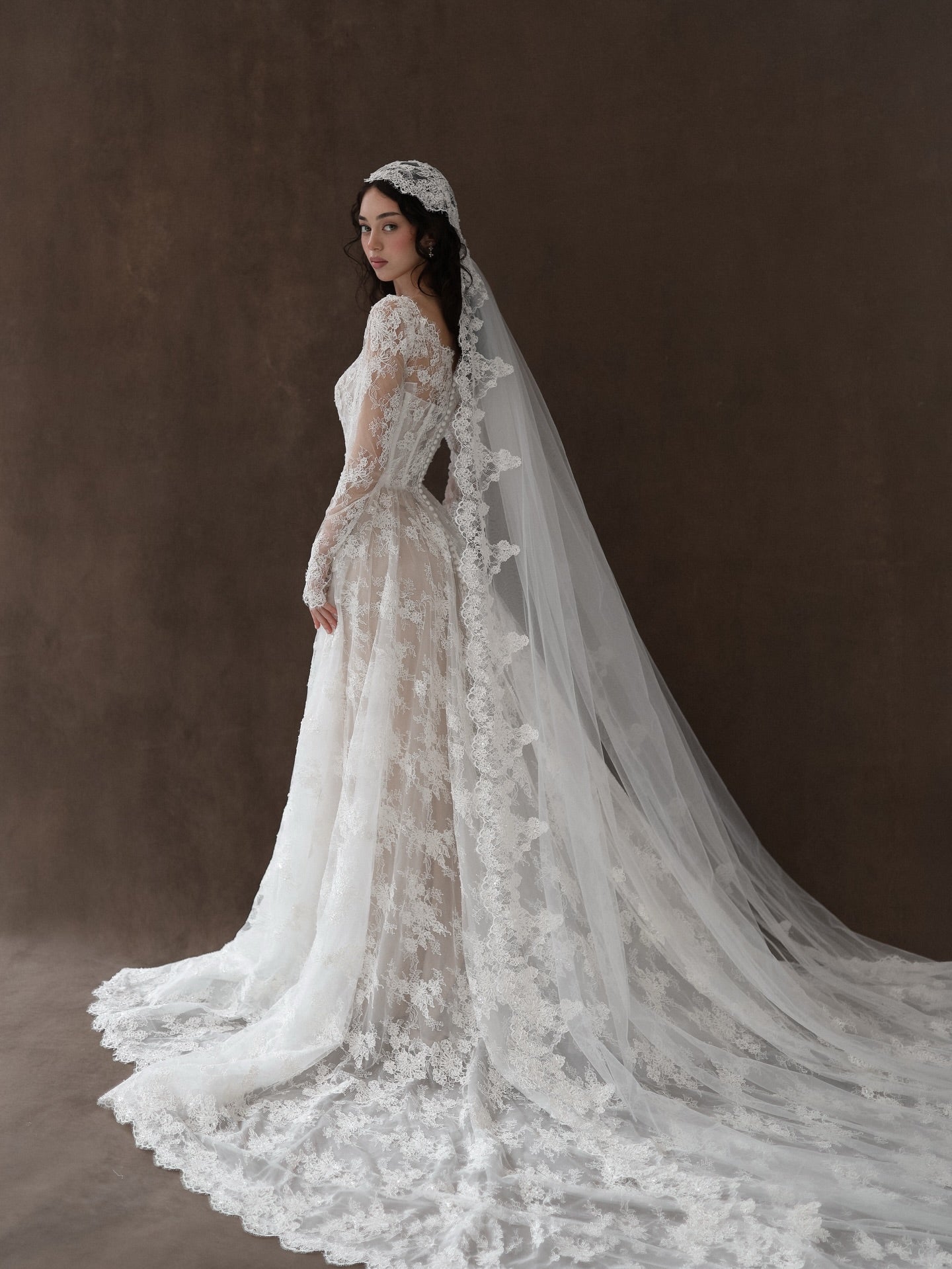 Long Sleeve V Neck Elegant Lace Wedding Dress with Veil  SW276 Sheer Fairy