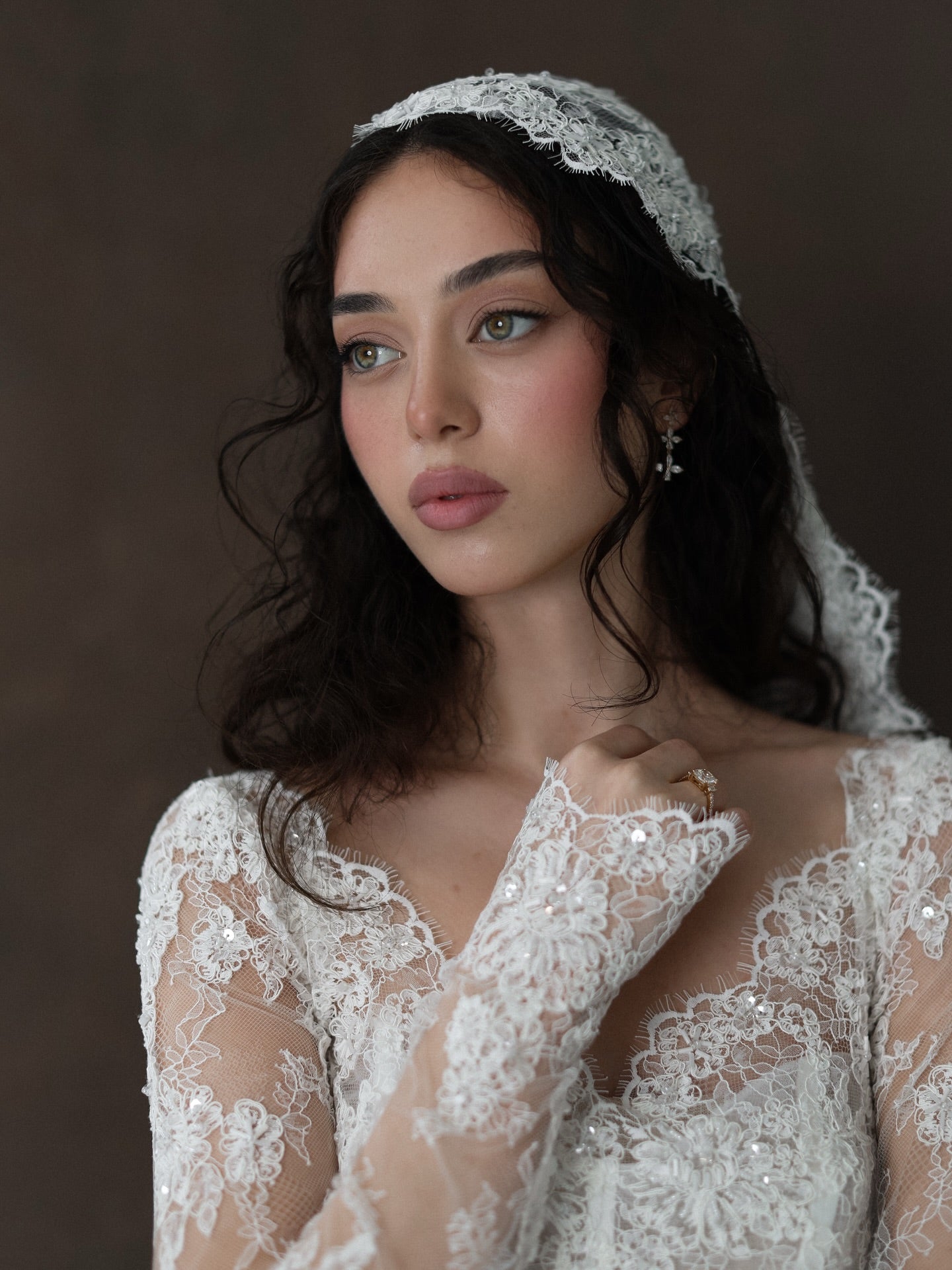 Long Sleeve V Neck Elegant Lace Wedding Dress with Veil  SW276 Sheer Fairy