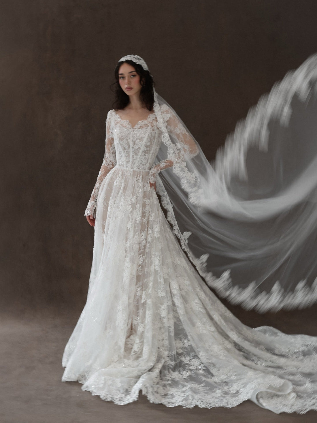 Long Sleeve V Neck Elegant Lace Wedding Dress with Veil  SW276 Sheer Fairy