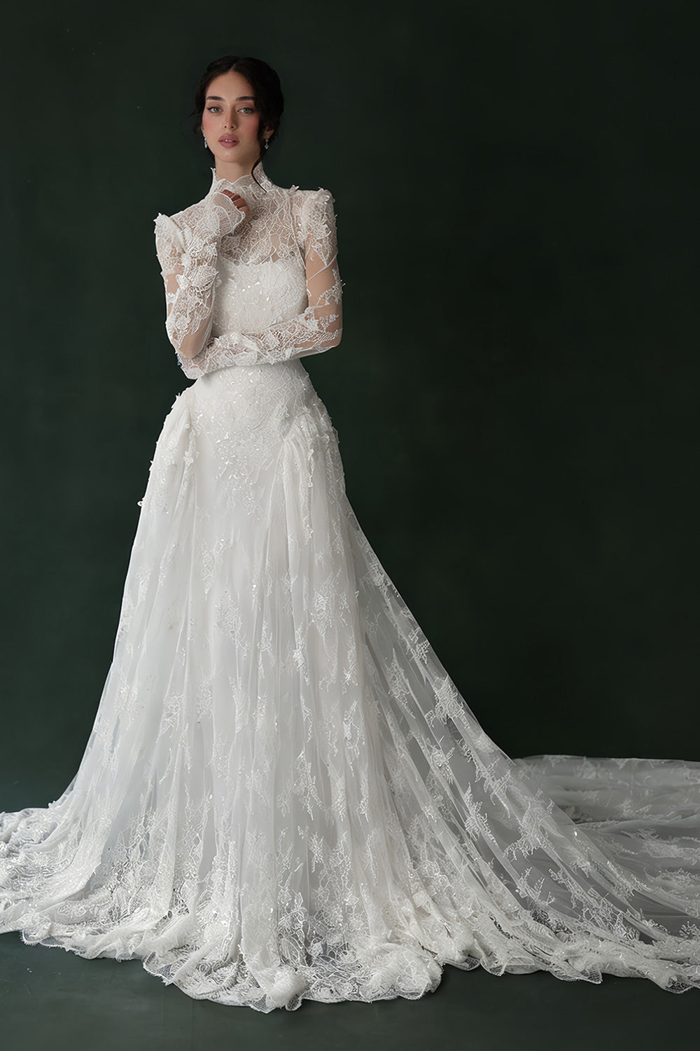 High Neck Long Sleeve Lace Sheer Wedding Dress with Veil  SW275 Sheer Fairy