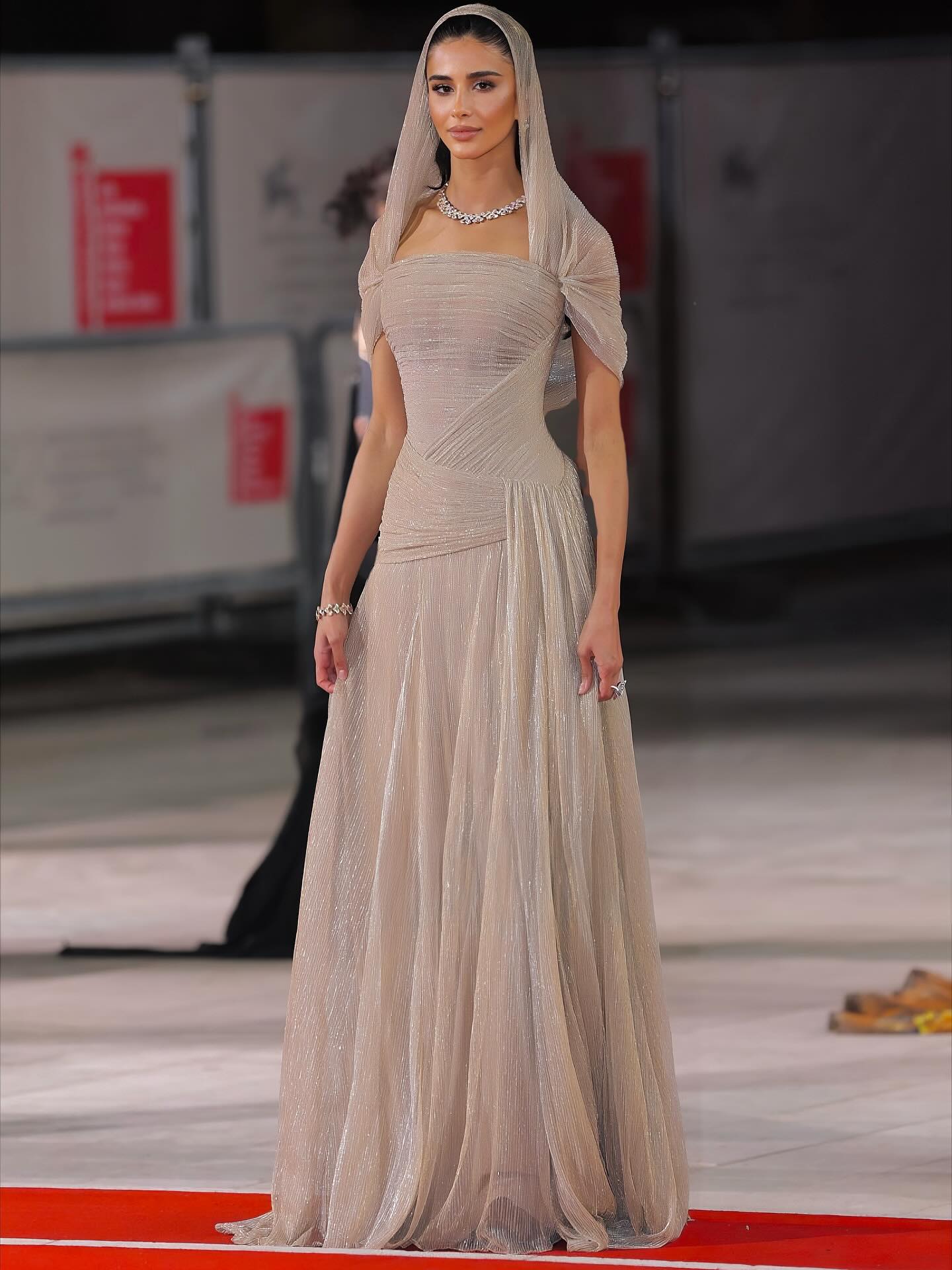 Champagne Tulle Ruched Square Neck Sheer Veil Evening Dress SF045 Sheer Fairy