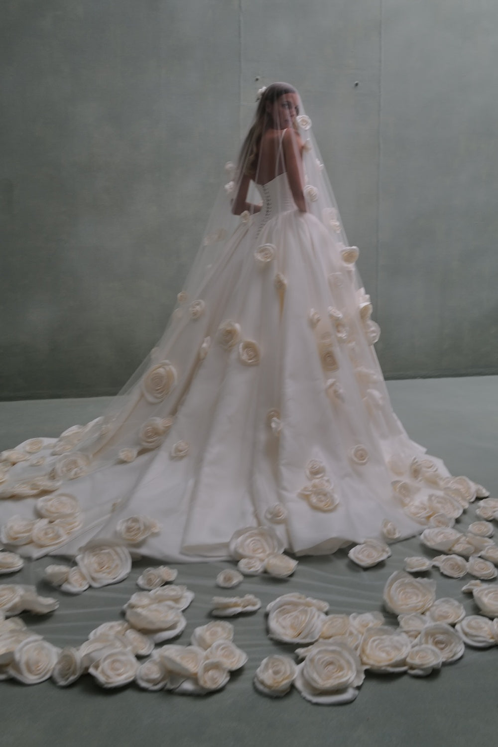 Luxury 3D Floral Appliqué Ball Gown Wedding Dress SW079 Sheer Fairy